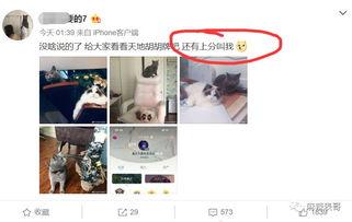 网红故事圈带你吃瓜,带你一探“吃瓜”背后的故事 第3张 网红故事圈带你吃瓜,带你一探“吃瓜”背后的故事 第3张