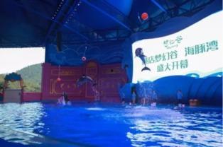 外国人爆料海豚湾视频,震惊世界的捕杀真相曝光 第1张 外国人爆料海豚湾视频,震惊世界的捕杀真相曝光 第1张